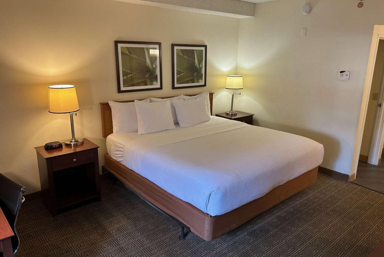 La Quinta By Wyndham Orlando South Hotel Williamsburg Exterior foto